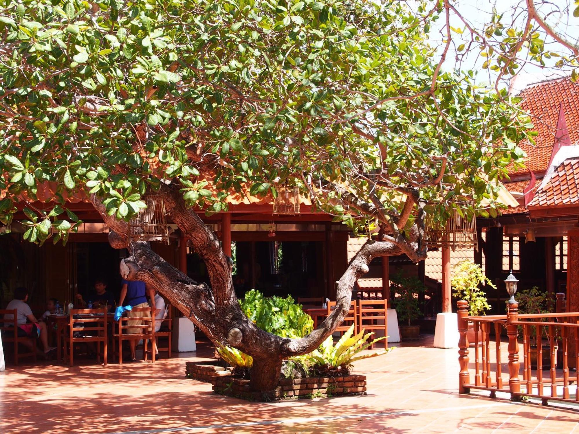Harry'S Bungalows Mae Nam Zewnętrze zdjęcie